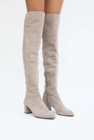 Grey Suede Thigh High Block Heel Boot