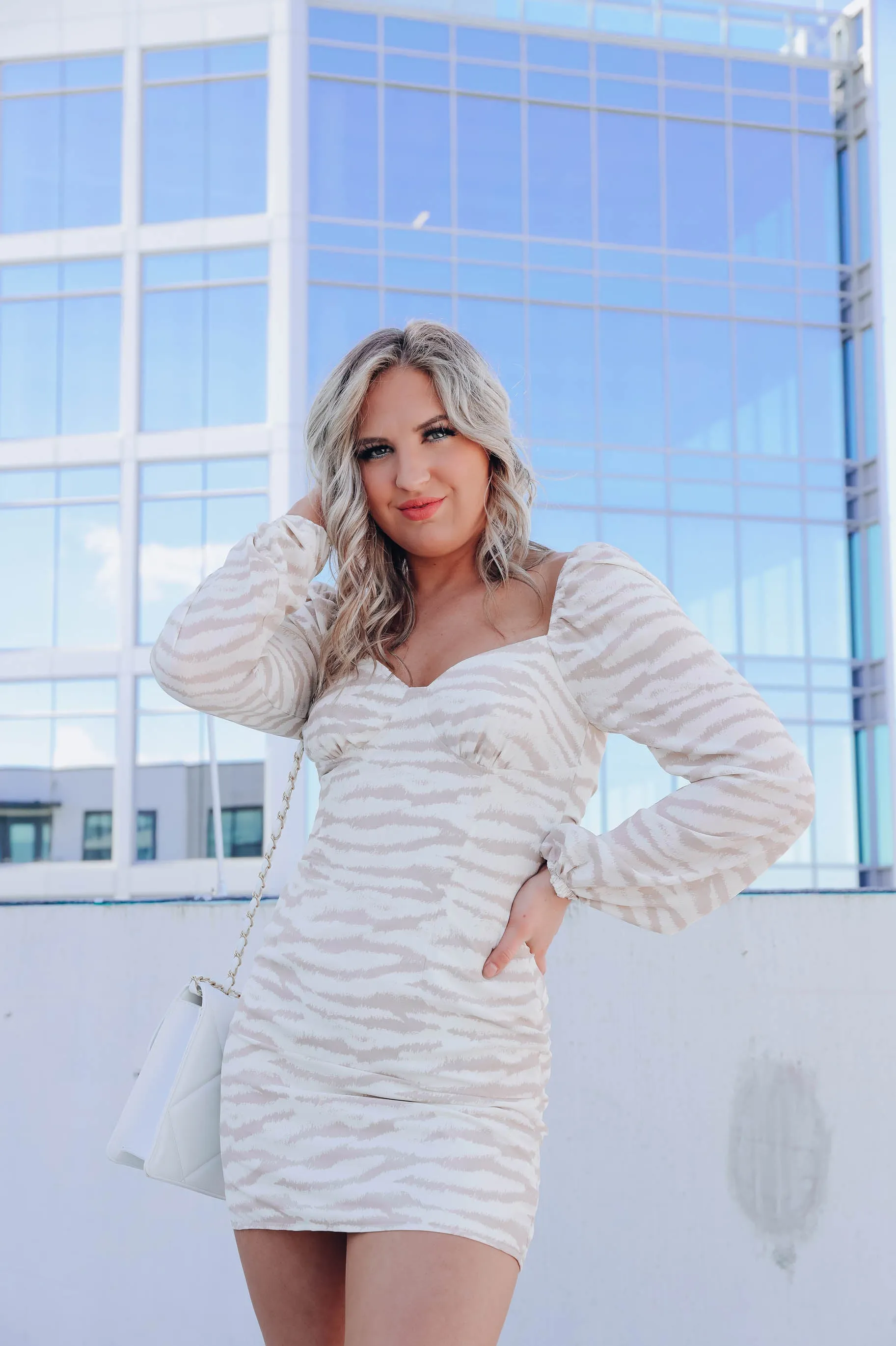 Lyssa Zebra Print Mini Dress - Taupe
