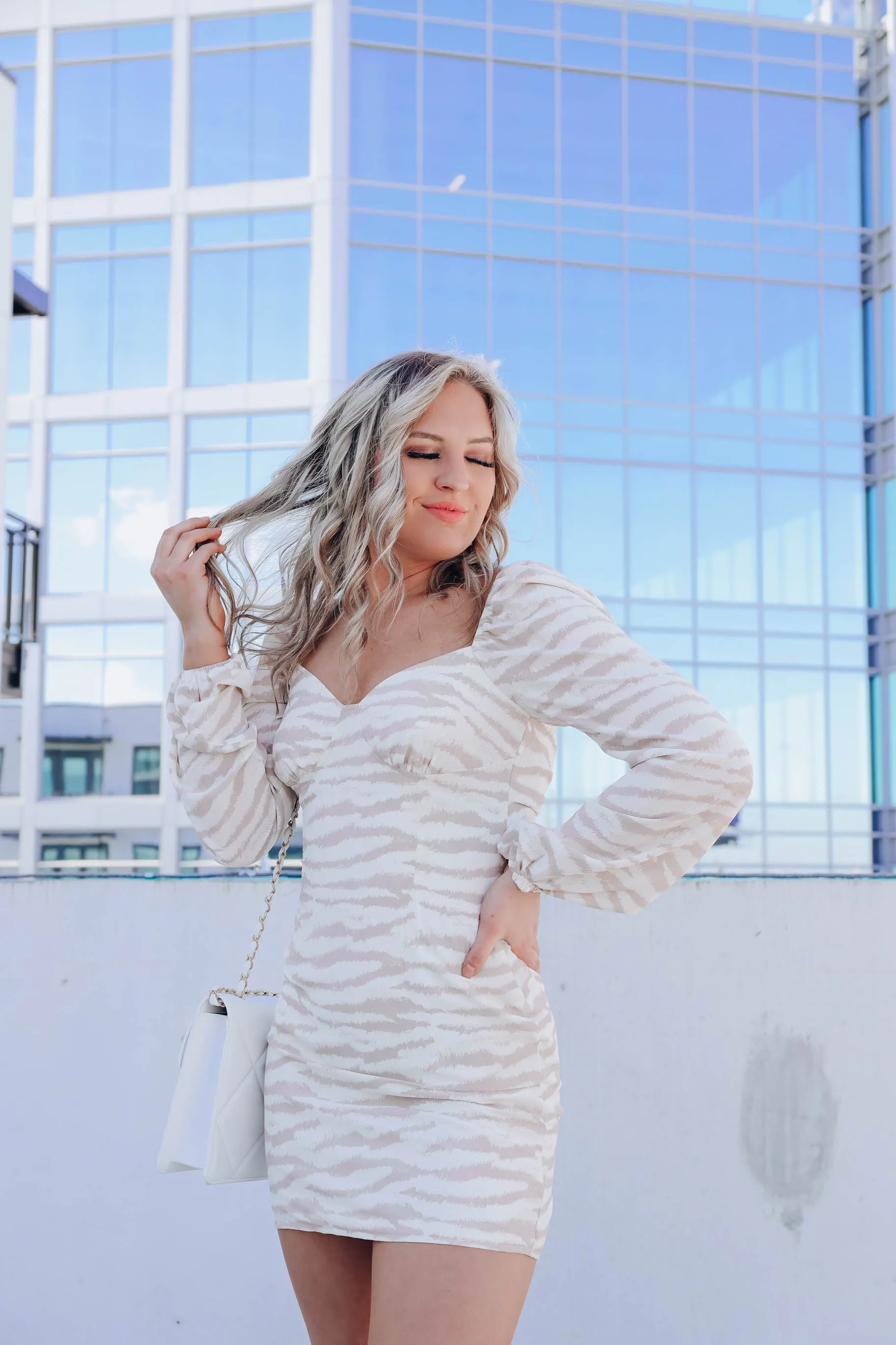 Lyssa Zebra Print Mini Dress - Taupe