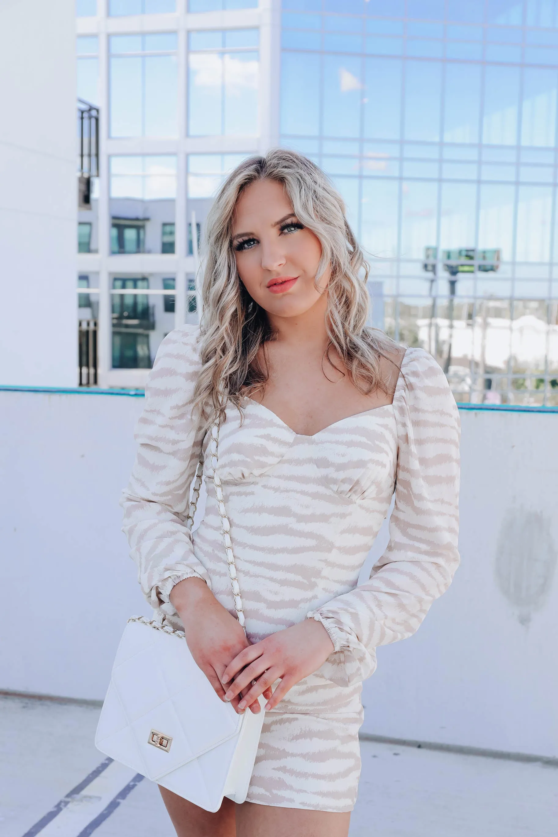 Lyssa Zebra Print Mini Dress - Taupe