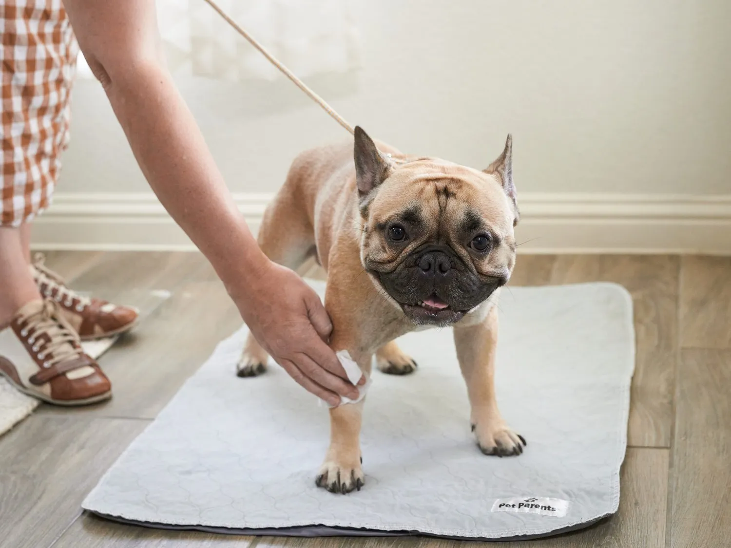 Pet WiPees™ Dog All Purpose   Allergy