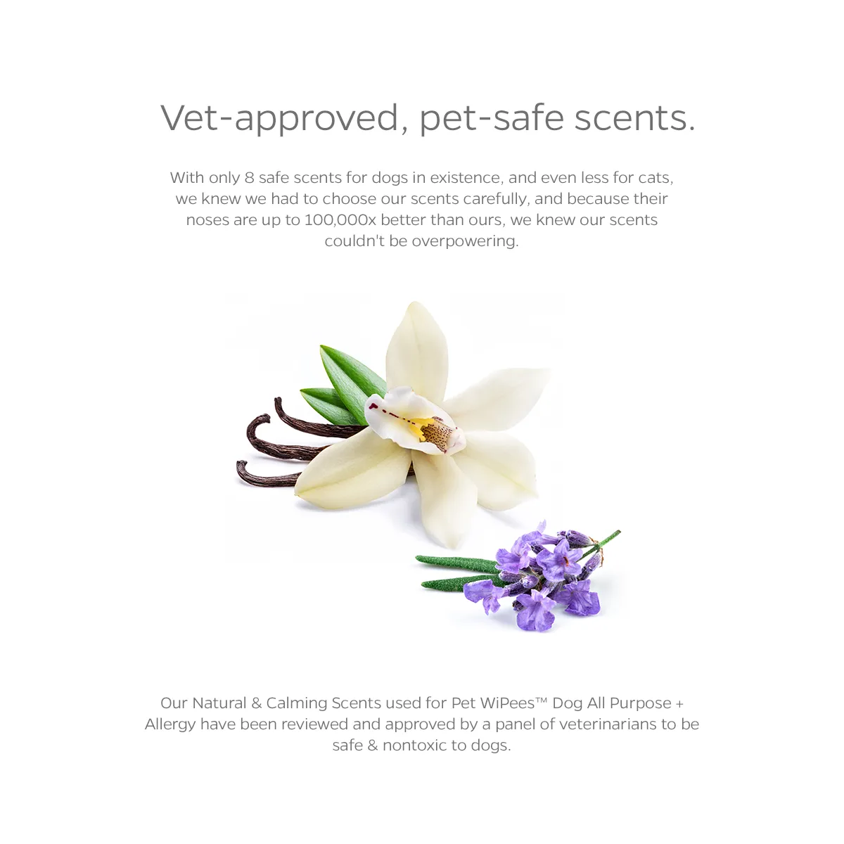 Pet WiPees™ Dog All Purpose   Allergy