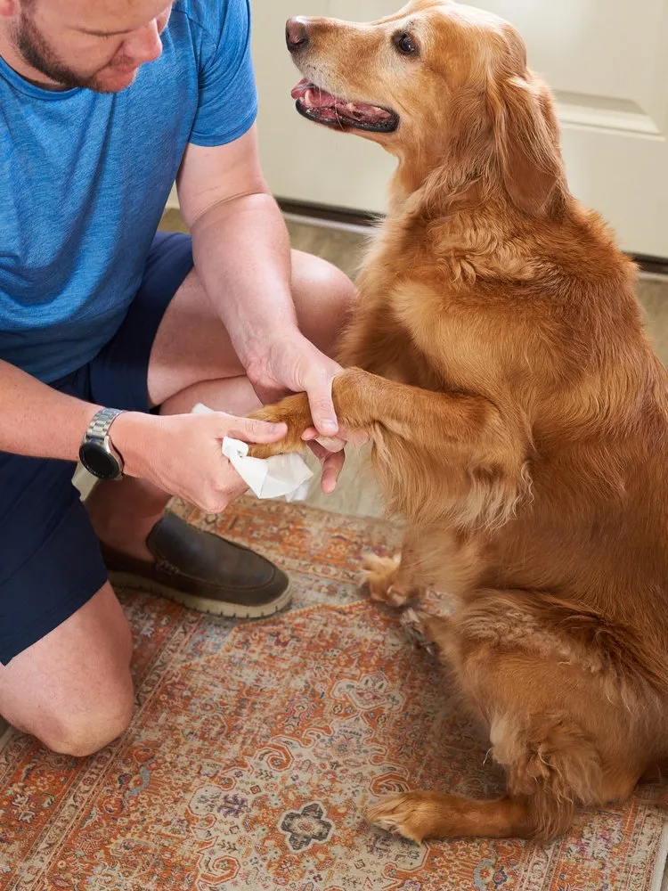 Pet WiPees™ Dog All Purpose   Allergy