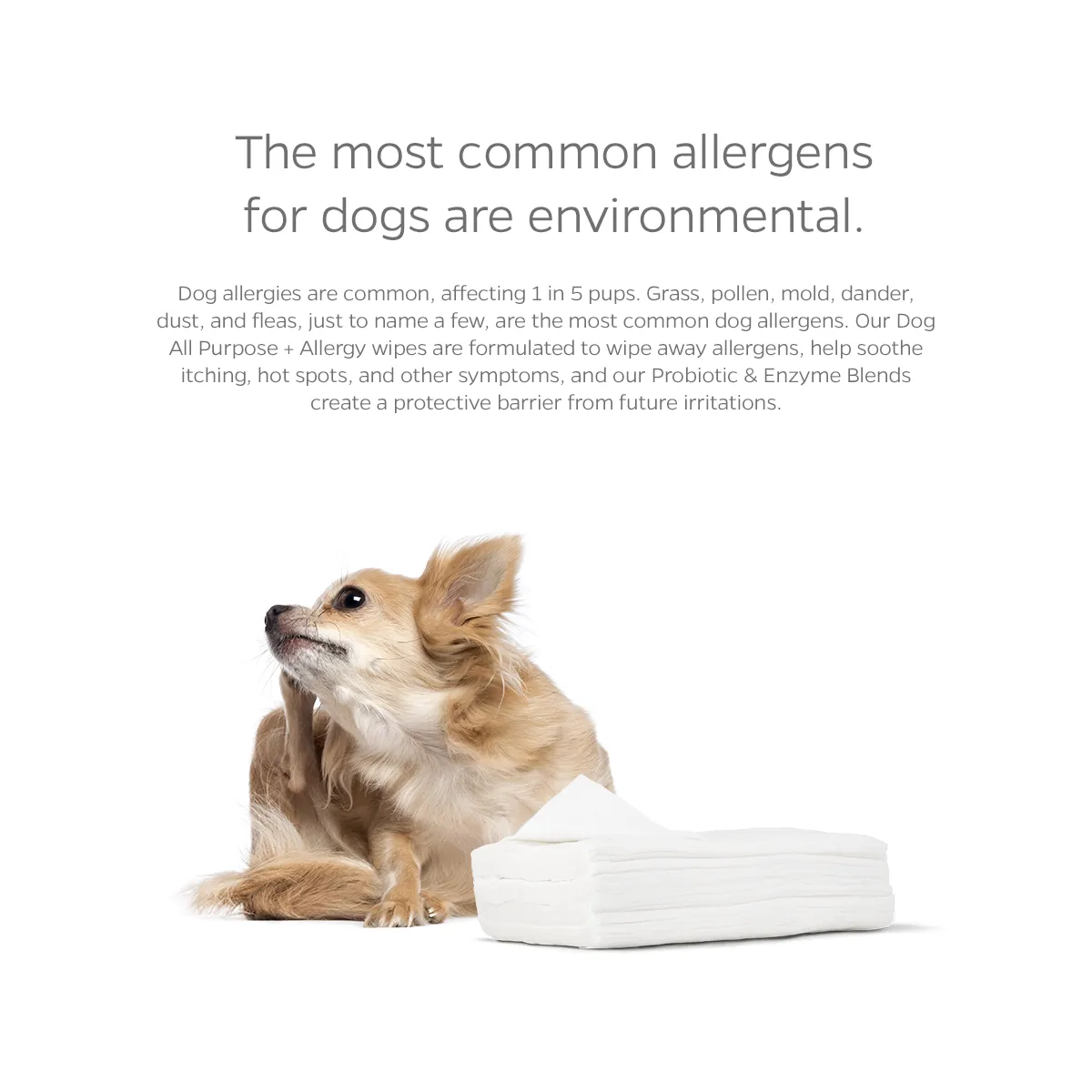 Pet WiPees™ Dog All Purpose   Allergy