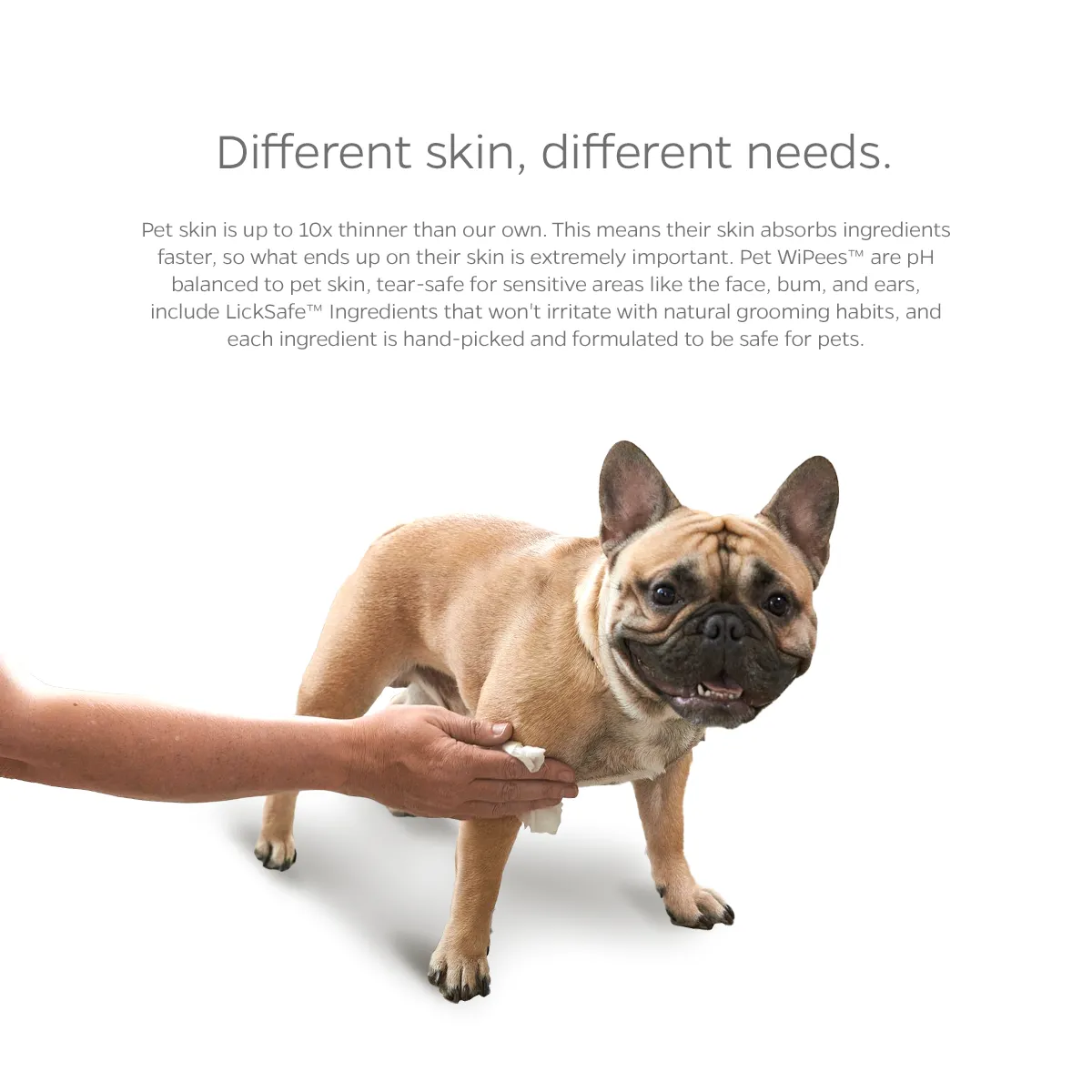 Pet WiPees™ Dog All Purpose   Allergy