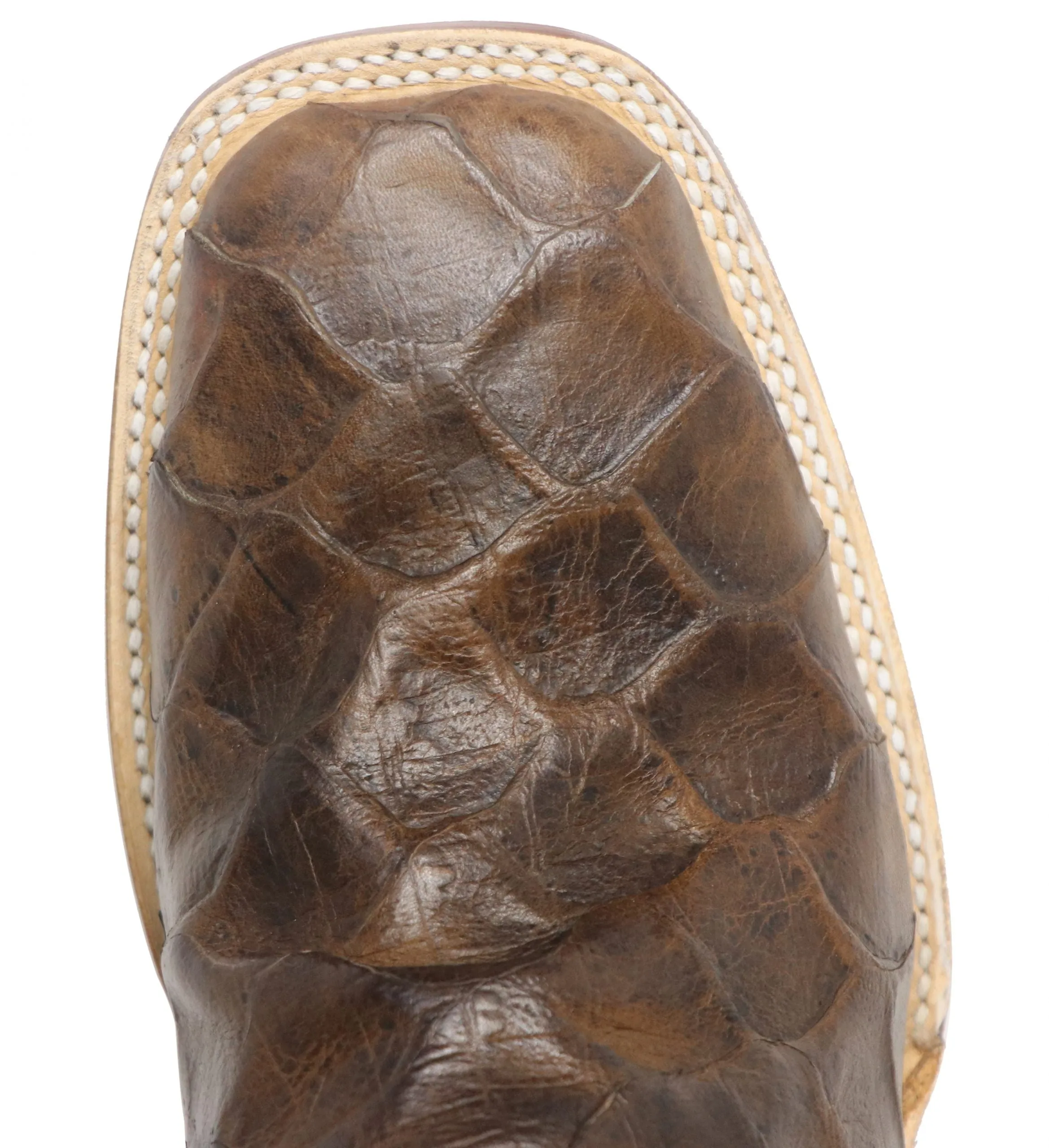 Pirarucu Fish Embossed Square Toe